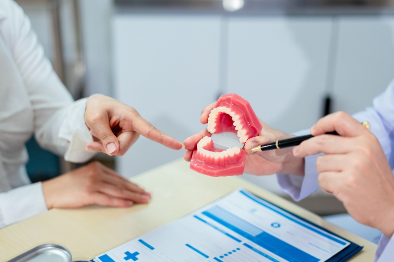 Dentist explaining oral health with a dental model in Stittsville and Kanata, ON