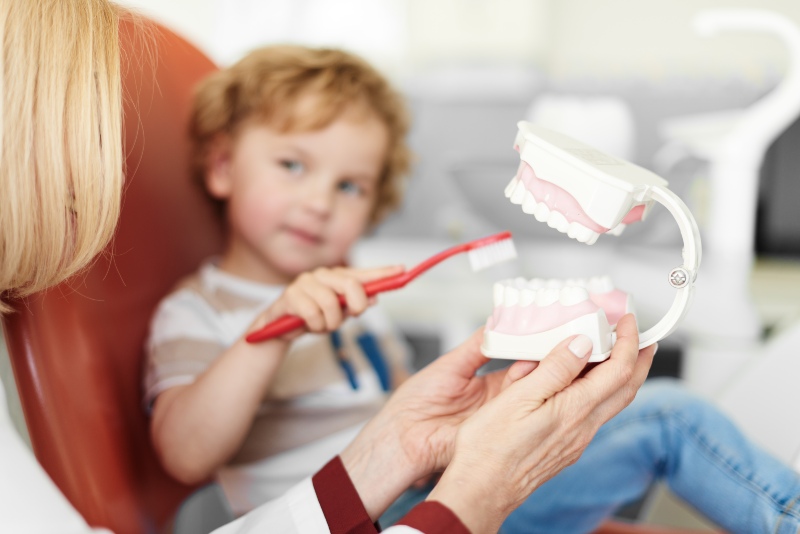 Child learning proper brushing technique using a dental model and toothbrush during a pediatric dental visit in Kanata and Owatta, ON